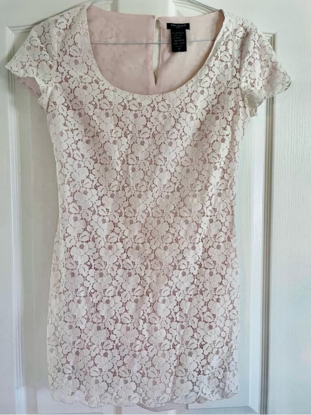 Aritzia Pink Dress with Ivory Floral Lace Overlay